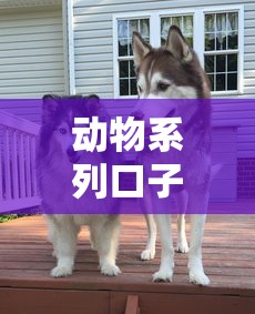 动物系列口子哪个好下款？哎这5个平台真能解燃眉之急