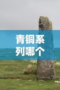 青铜系列哪个口子好？这5个实测通过率高的平台你得知道