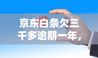 京东白条欠三千多逾期一年，亲身经历告诉你这样处理更稳妥