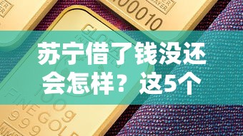 苏宁借了钱没还会怎样？这5个后果比想象中严重