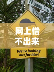 网上借不出来钱了怎么回事？这5个坑你可能踩到了
