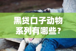 黑贷口子动物系列有哪些？这些平台真的能下款吗