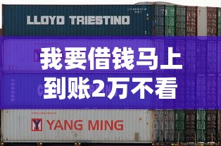 我要借钱马上到账2万不看征信？这3个正规平台或许能帮到你