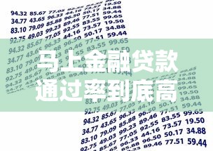 马上金融贷款通过率到底高不高？真实数据全解析