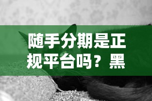 随手分期是正规平台吗？黑猫测评后，这些细节要注意！