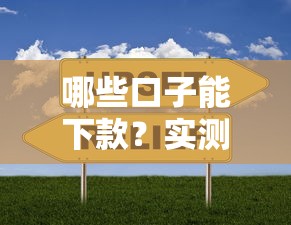 哪些口子能下款？实测10家平台通过率对比