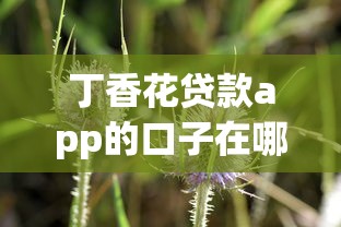 丁香花贷款app的口子在哪里？实测3个下款技巧分享