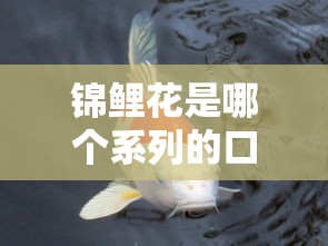 锦鲤花是哪个系列的口子？看完这篇就懂怎么选贷款