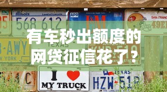 有车秒出额度的网贷征信花了？这5招教你顺利下款