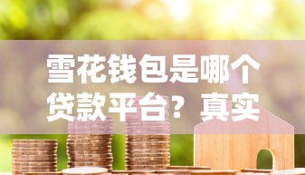雪花钱包是哪个贷款平台？真实用户评测+申请避坑指南