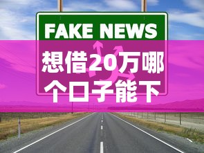 想借20万哪个口子能下？真实用户分享3个靠谱渠道