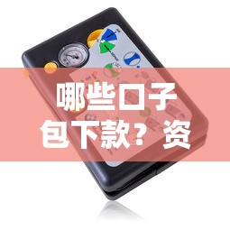 哪些口子包下款？资深用户实测5个稳定平台
