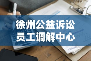 徐州公益诉讼员工调解中心在哪？贷款纠纷调解流程全解析