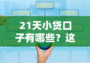 21天小贷口子有哪些？这5个平台审核快额度高