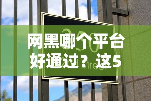 网黑哪个平台好通过？这5家低门槛渠道亲测有效