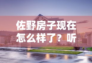 佐野房子现在怎么样了？听说她靠这招解决了贷款难题