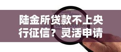 陆金所贷款不上央行征信？灵活申请与额度优势解析