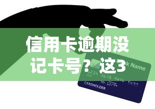 信用卡逾期没记卡号？这3招解决贷款难题