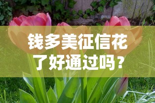 钱多美征信花了好通过吗？实测3个低门槛借款渠道