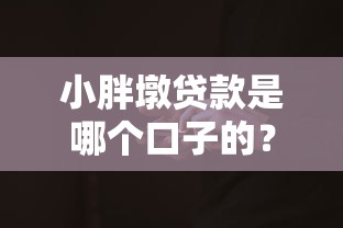 小胖墩贷款是哪个口子的？这几个正规平台更靠谱