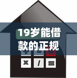 19岁能借款的正规app不看征信吗？这3个低门槛平台真实测评