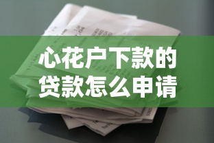 心花户下款的贷款怎么申请？这些流程新手必看