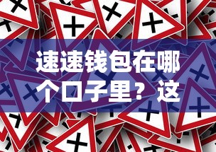 速速钱包在哪个口子里？这几个靠谱平台推荐给你