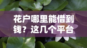 花户哪里能借到钱？这几个平台或许能救急！