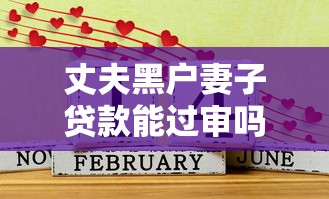 丈夫黑户妻子贷款能过审吗