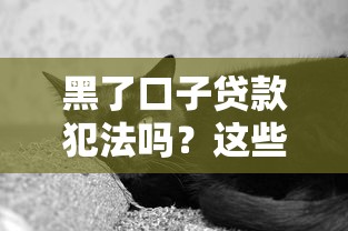 黑了口子贷款犯法吗？这些风险你可能真没想到！