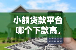小额贷款平台哪个下款高，实测后发现这3家最快！