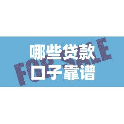 哪些贷款口子靠谱？这5个平台通过率高，审核快！
