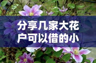 分享几家大花户可以借的小额贷 真实测评这5个低门槛平台