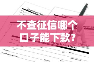 不查征信哪个口子能下款？这5个渠道申请攻略