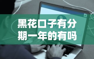 黑花口子有分期一年的有吗？实测这些平台能解决需求