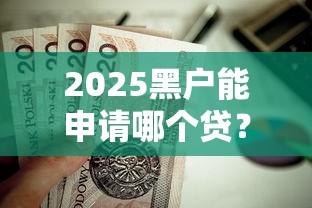 2025黑户能申请哪个贷？这5个口子还能试试看！