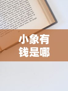 小象有钱是哪里的口子？实测资质与申请流程详解