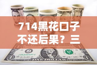 714黑花口子不还后果？三招解决债务危机
