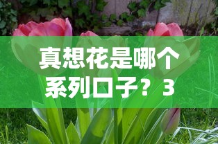 真想花是哪个系列口子？3个关键点速查匹配