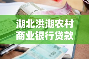 湖北洪湖农村商业银行贷款申请指南：资料+利率+流程解析