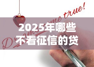 2025年哪些不看征信的贷款还能申请？真实经验分享