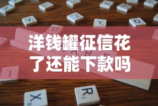 洋钱罐征信花了还能下款吗？真实经验分享
