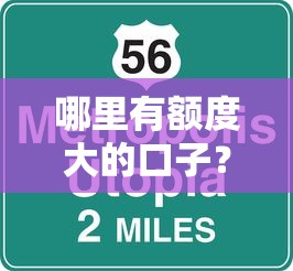 哪里有额度大的口子？高额度正规平台精选测评