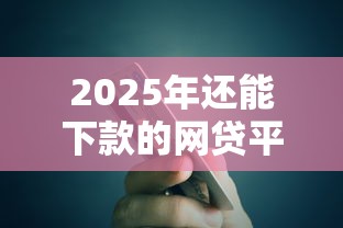 2025年还能下款的网贷平台有哪些？实测5家靠谱推荐