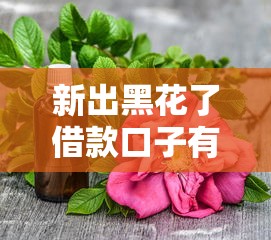 新出黑花了借款口子有哪些？这3个低门槛方案实测有效