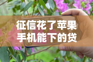 征信花了苹果手机能下的贷款口子实测分享