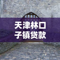 天津林口子镇贷款平台推荐及所属区解析