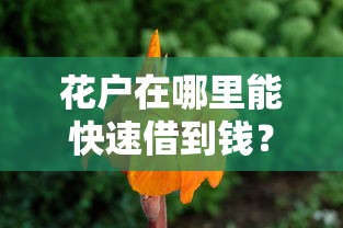 花户在哪里能快速借到钱？3个正规渠道实测对比