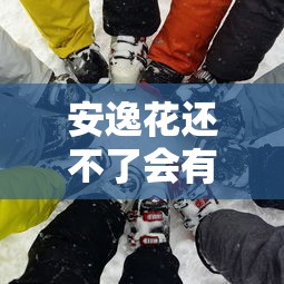 安逸花还不了会有什么后果？这些坑你踩过吗
