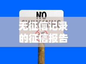 无征信记录的征信报告：贷款被拒？你可能忽略这些解决方法